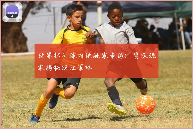 世界杯买球内地独家专访:资深玩家揭秘投注策略