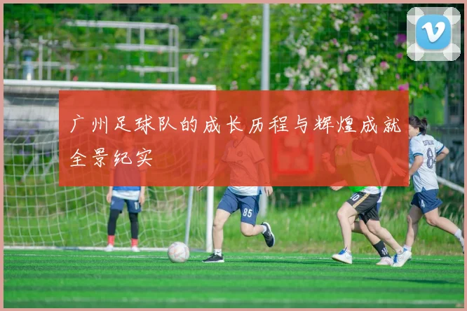 广州足球队的成长历程与辉煌成就全景纪实