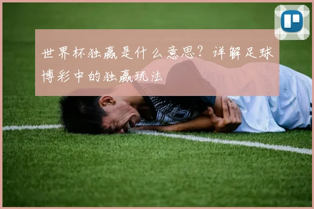 世界杯独赢是什么意思？详解足球博彩中的独赢玩法