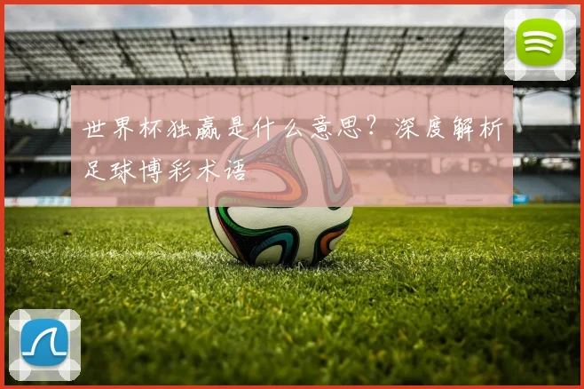世界杯独赢是什么意思？深度解析足球博彩术语