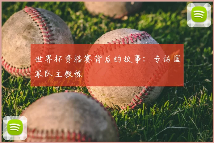 世界杯资格赛背后的故事:专访国家队主教练