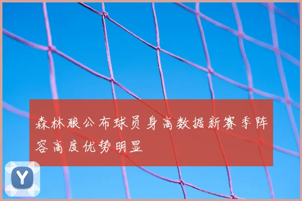 森林狼公布球员身高数据新赛季阵容高度优势明显