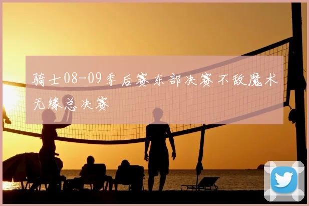 骑士08-09季后赛东部决赛不敌魔术无缘总决赛