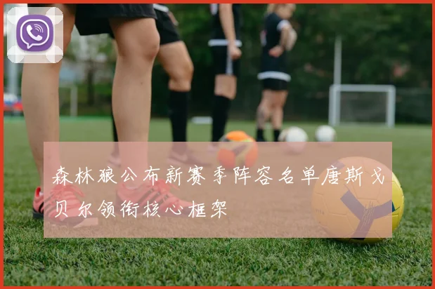 森林狼公布新赛季阵容名单唐斯戈贝尔领衔核心框架