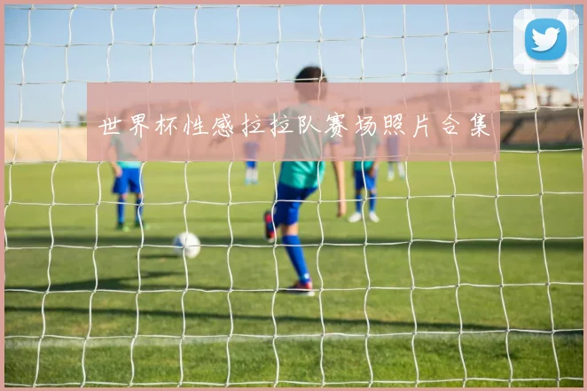 世界杯性感拉拉队赛场照片合集