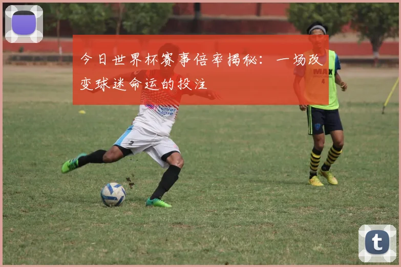 今日世界杯赛事倍率揭秘：一场改变球迷命运的投注