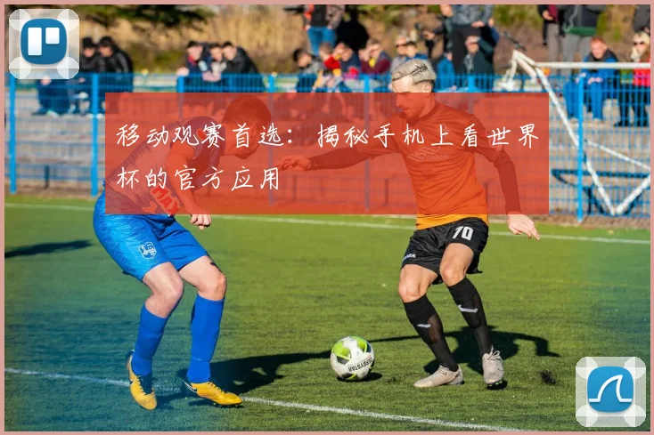 移动观赛首选：揭秘手机上看世界杯的官方应用