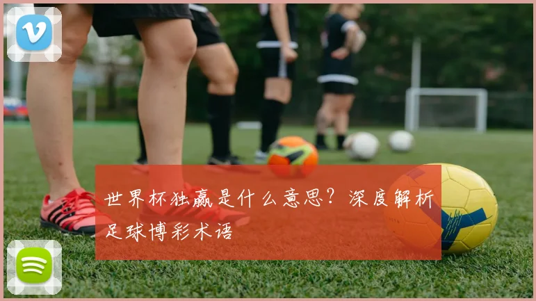 世界杯独赢是什么意思？深度解析足球博彩术语