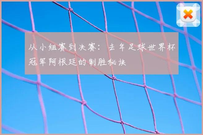 从小组赛到决赛：去年足球世界杯冠军阿根廷的制胜秘诀