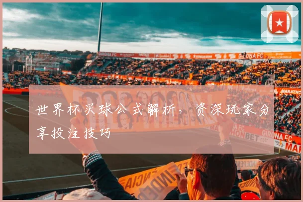 世界杯买球公式解析,资深玩家分享投注技巧