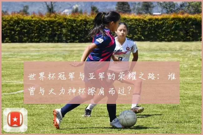 世界杯冠军与亚军的荣耀之路：谁曾与大力神杯擦肩而过？