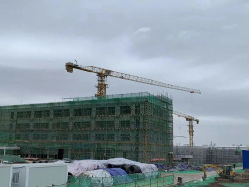 金花股份董事长邢雅江率队视察草堂建设项目，强调高质量推进房屋建筑工程施工